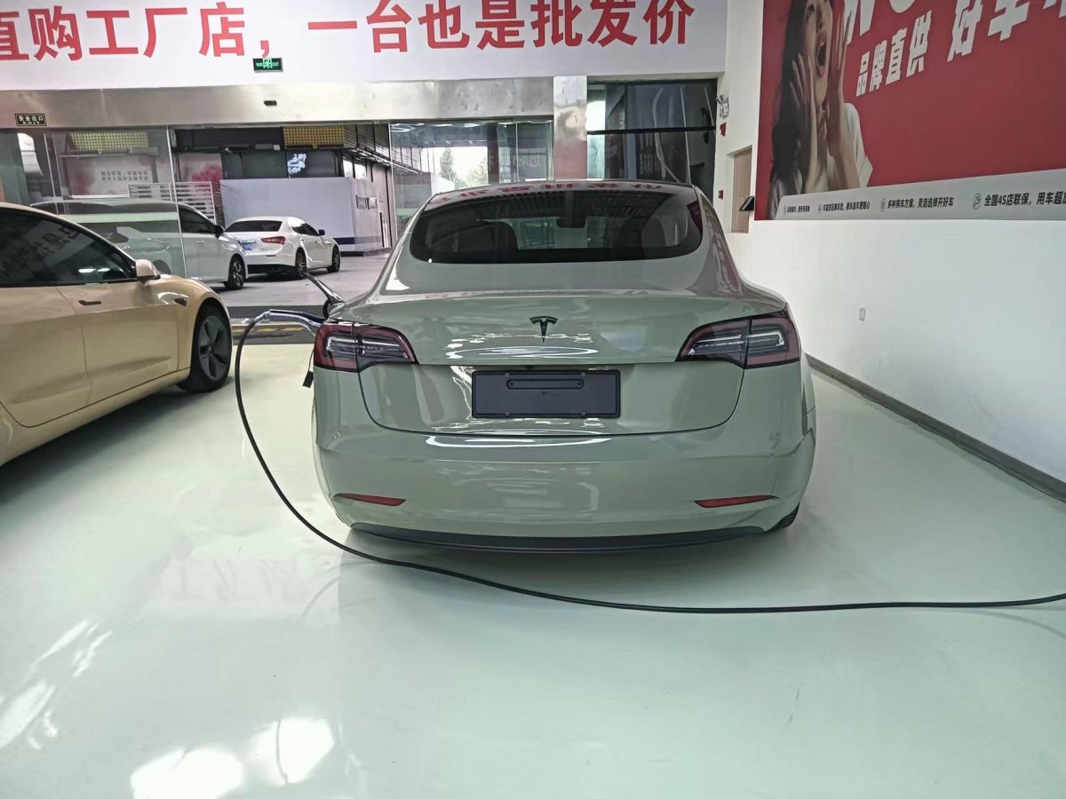 2020年10月特斯拉 Model 3  2019款 標(biāo)準(zhǔn)續(xù)航后驅(qū)升級(jí)版