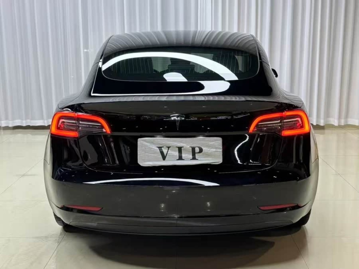 特斯拉 Model 3  2020款 改款 標準續(xù)航后驅(qū)升級版圖片