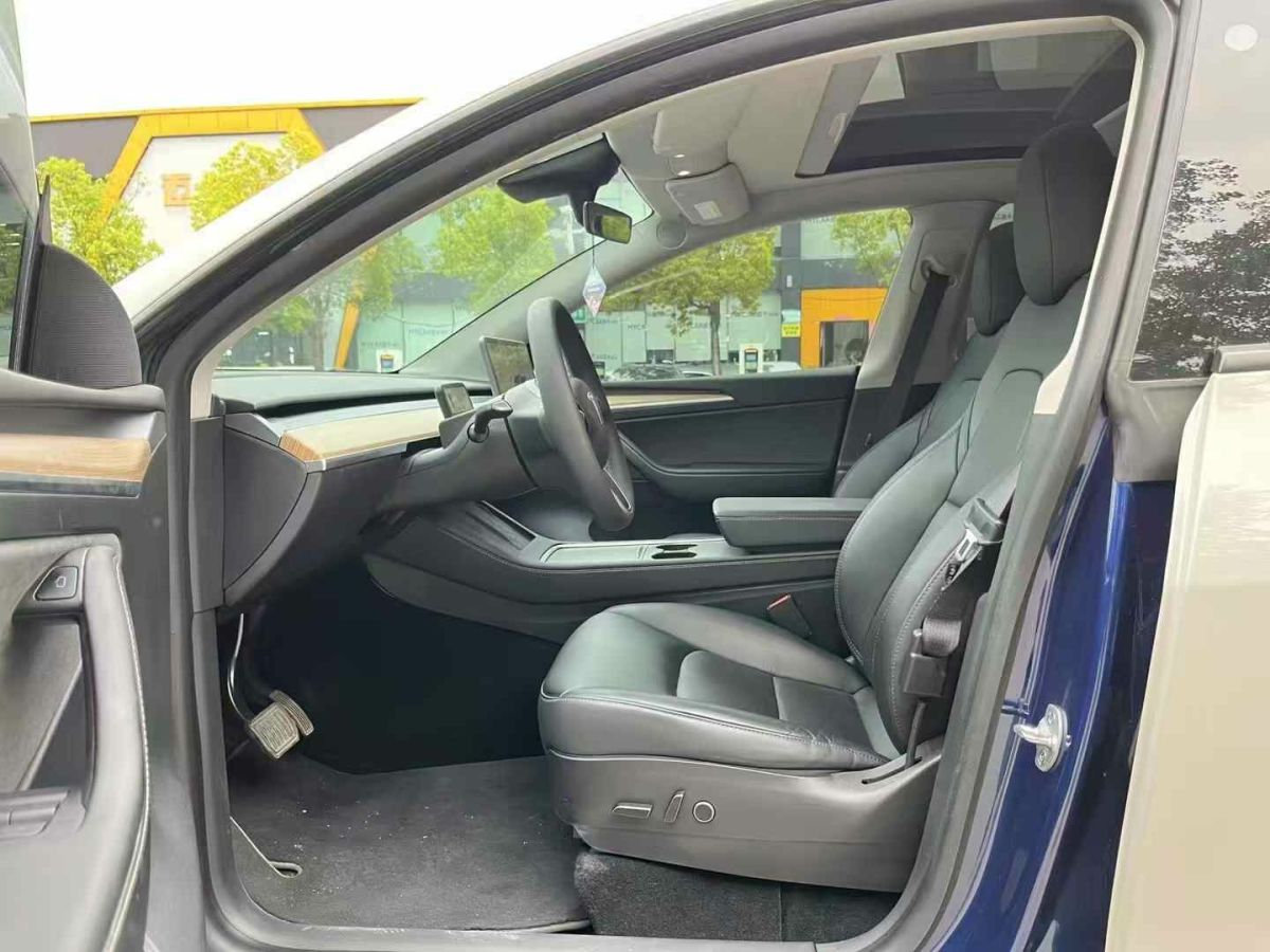 特斯拉 Model Y  2022款 Performance高性能全輪驅(qū)動(dòng)版圖片
