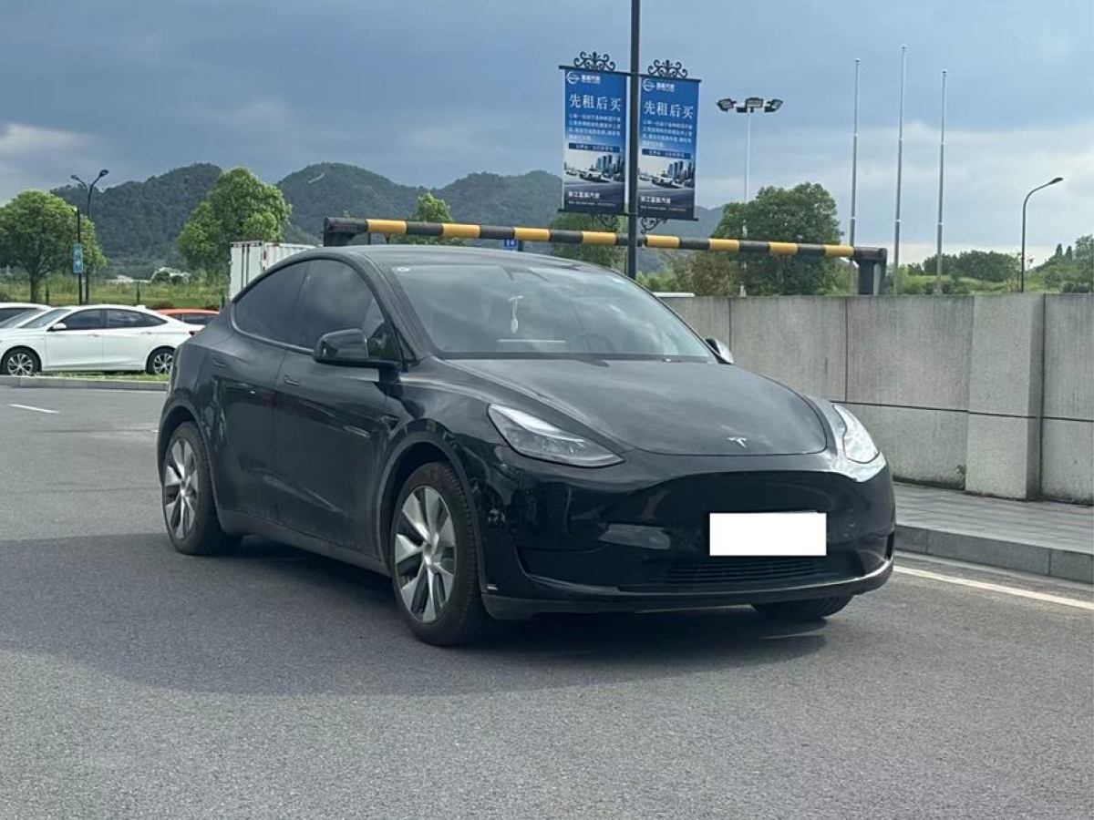 特斯拉 Model 3  2020款 改款 長(zhǎng)續(xù)航后輪驅(qū)動(dòng)版圖片