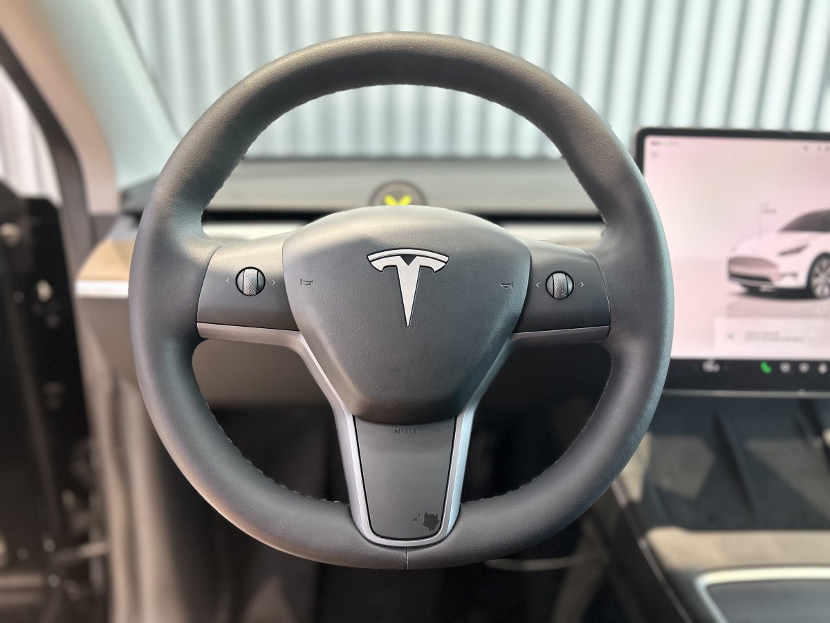 特斯拉 Model 3  2022款 长续航全轮驱动版图片