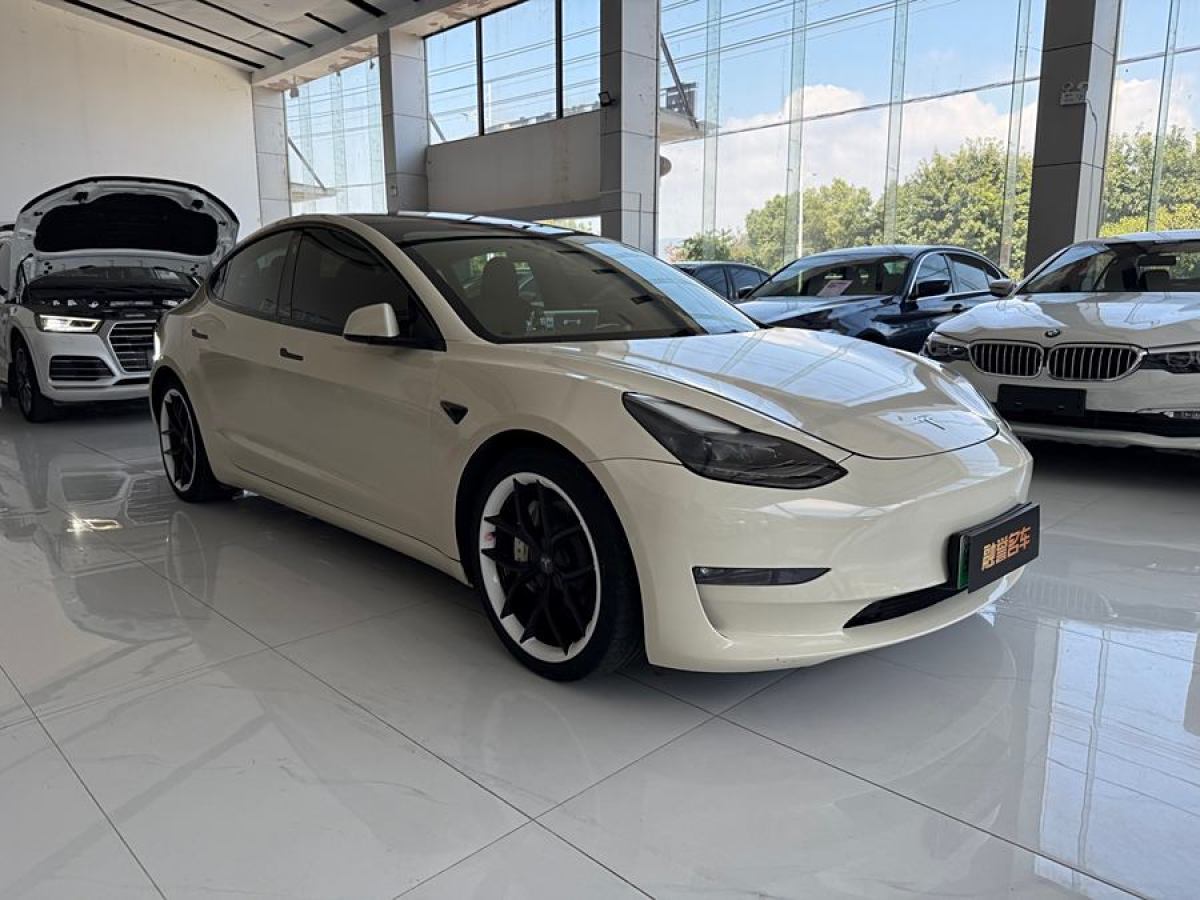 特斯拉 Model 3  2022款 Performance高性能全輪驅(qū)動(dòng)版圖片