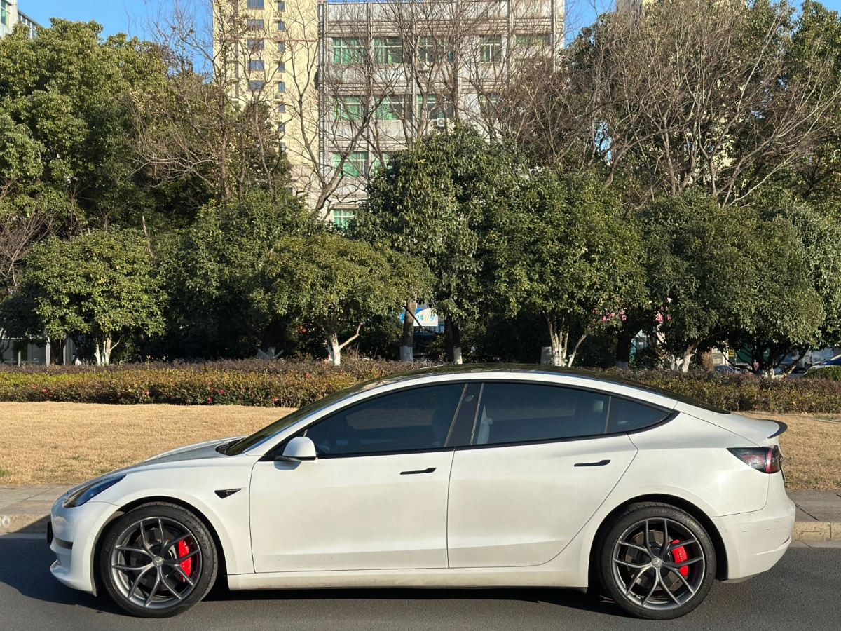 特斯拉 Model 3  2021款 Performance高性能全輪驅(qū)動版圖片