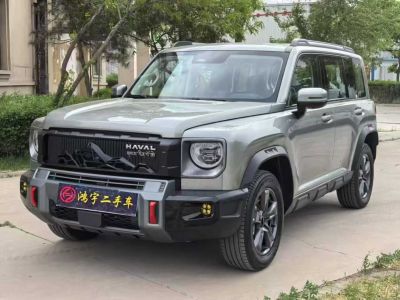 2023年10月 哈弗 哈弗赤兔 1.5L 混動(dòng)DHT圖片