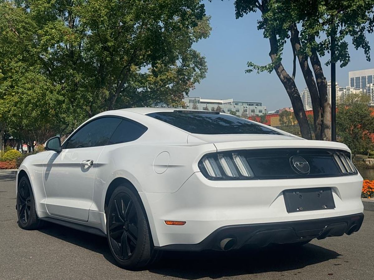 福特 Mustang  2015款 2.3T 性能版圖片