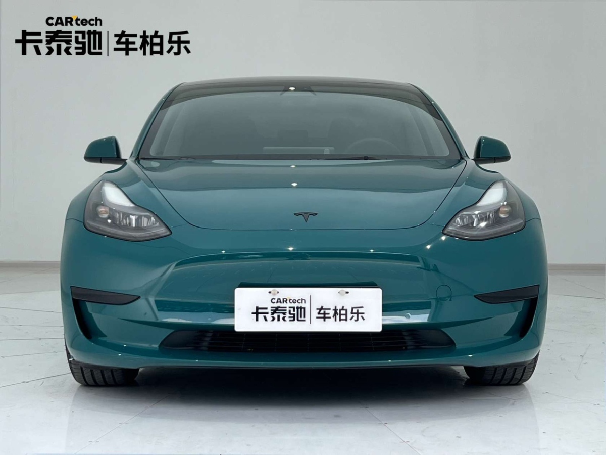 2022年01月特斯拉 Model 3  2022款 改款 后輪驅(qū)動版