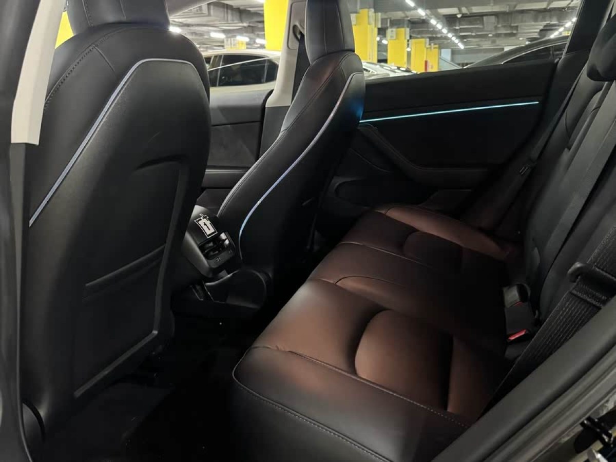 特斯拉 Model 3  2021款 標(biāo)準(zhǔn)續(xù)航后驅(qū)升級版 3D6圖片