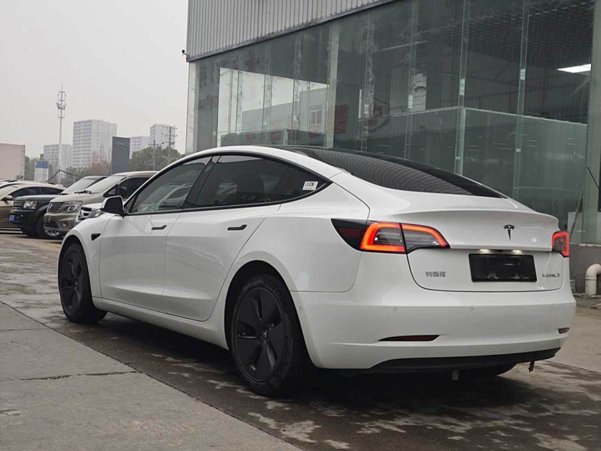 特斯拉 Model 3  2021款 改款 標準續(xù)航后驅升級版圖片