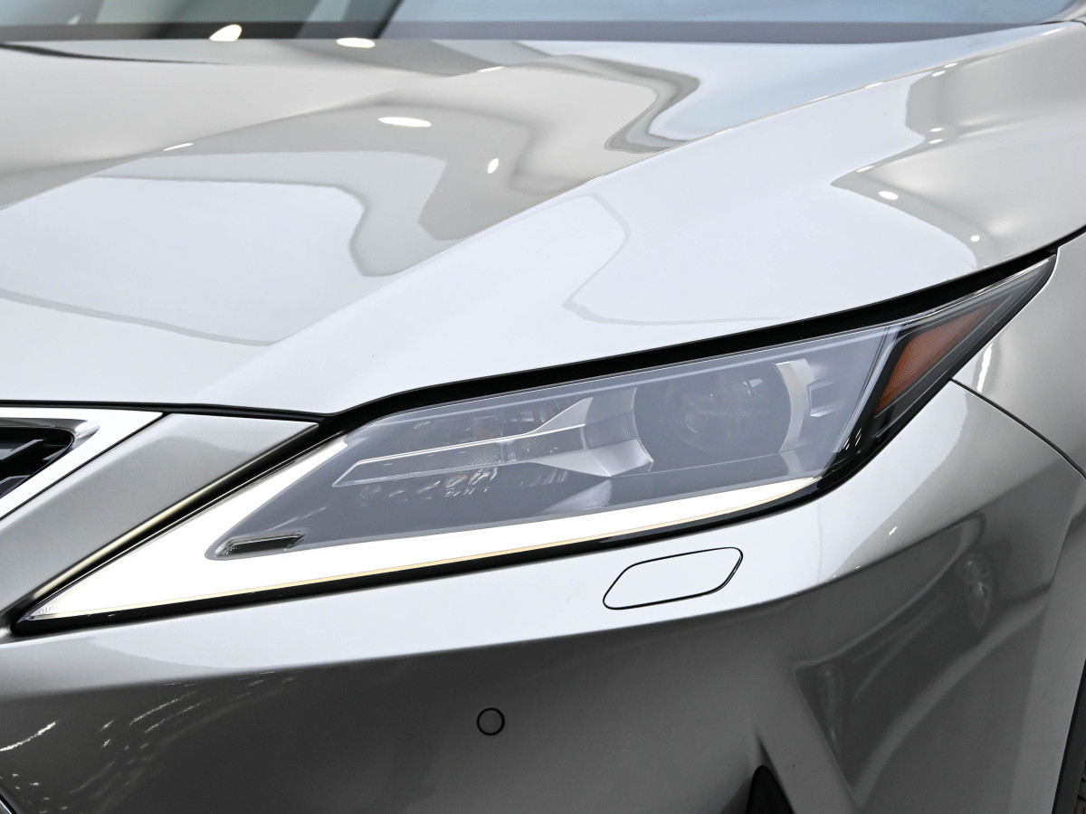 雷克萨斯 RX  2020款 改款 300 两驱精英版图片