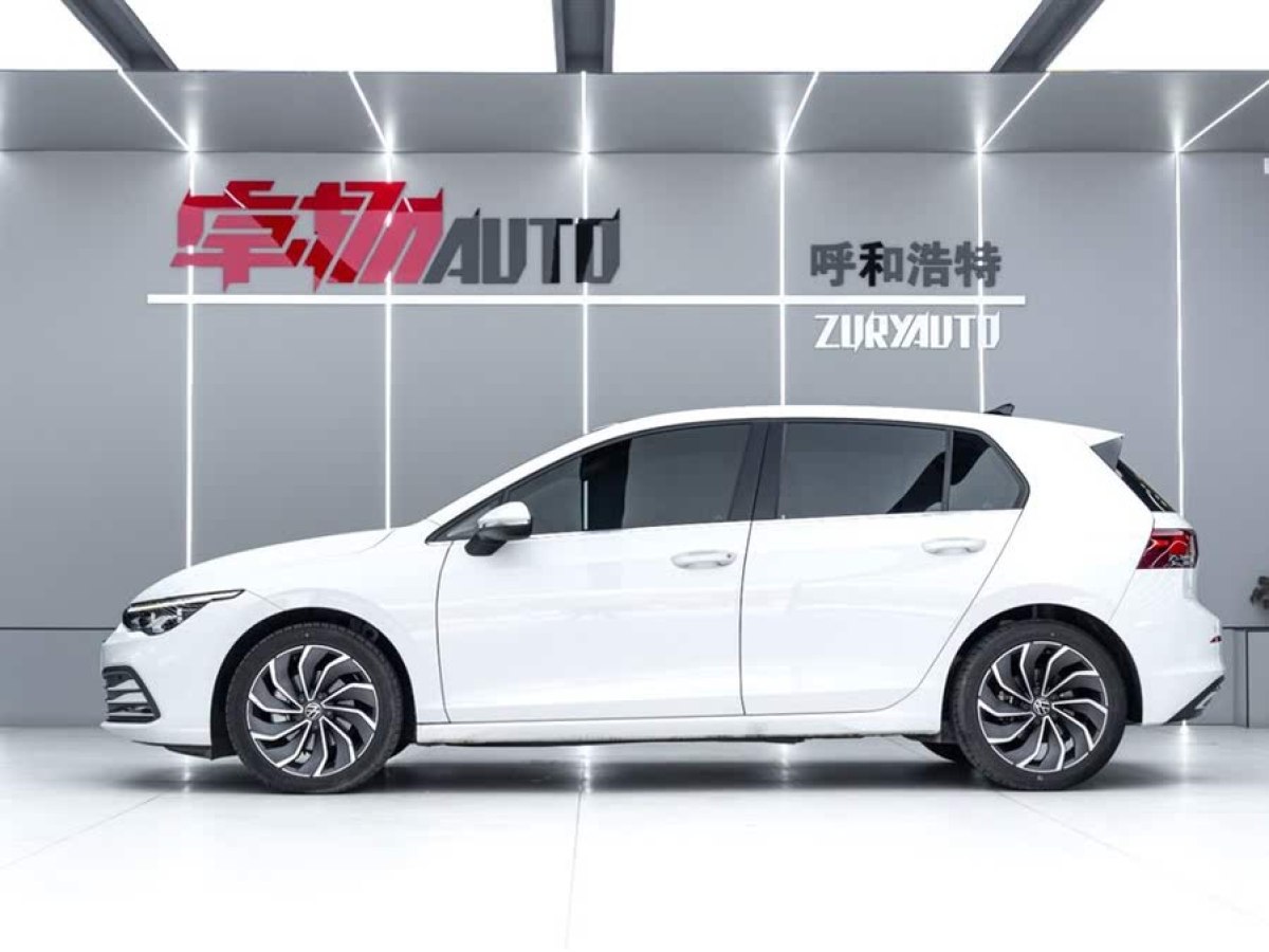 大眾 高爾夫  2021款 280TSI DSG Pro圖片