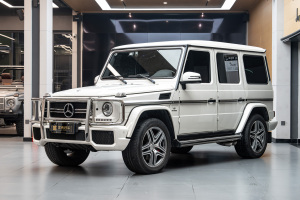 奔驰G级AMG 奔驰 AMG G 63