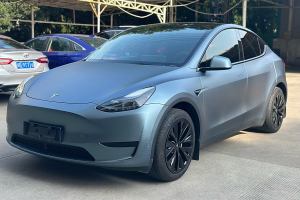 Model Y 特斯拉 改款 长续航后轮驱动版