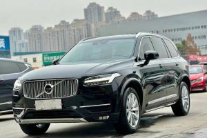 XC90 沃尔沃 2.0T T5 升级版智逸版