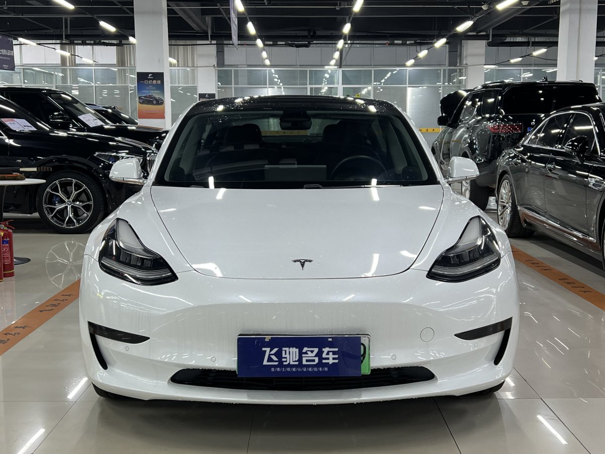 特斯拉 Model 3  2019款 標(biāo)準(zhǔn)續(xù)航后驅(qū)升級版圖片