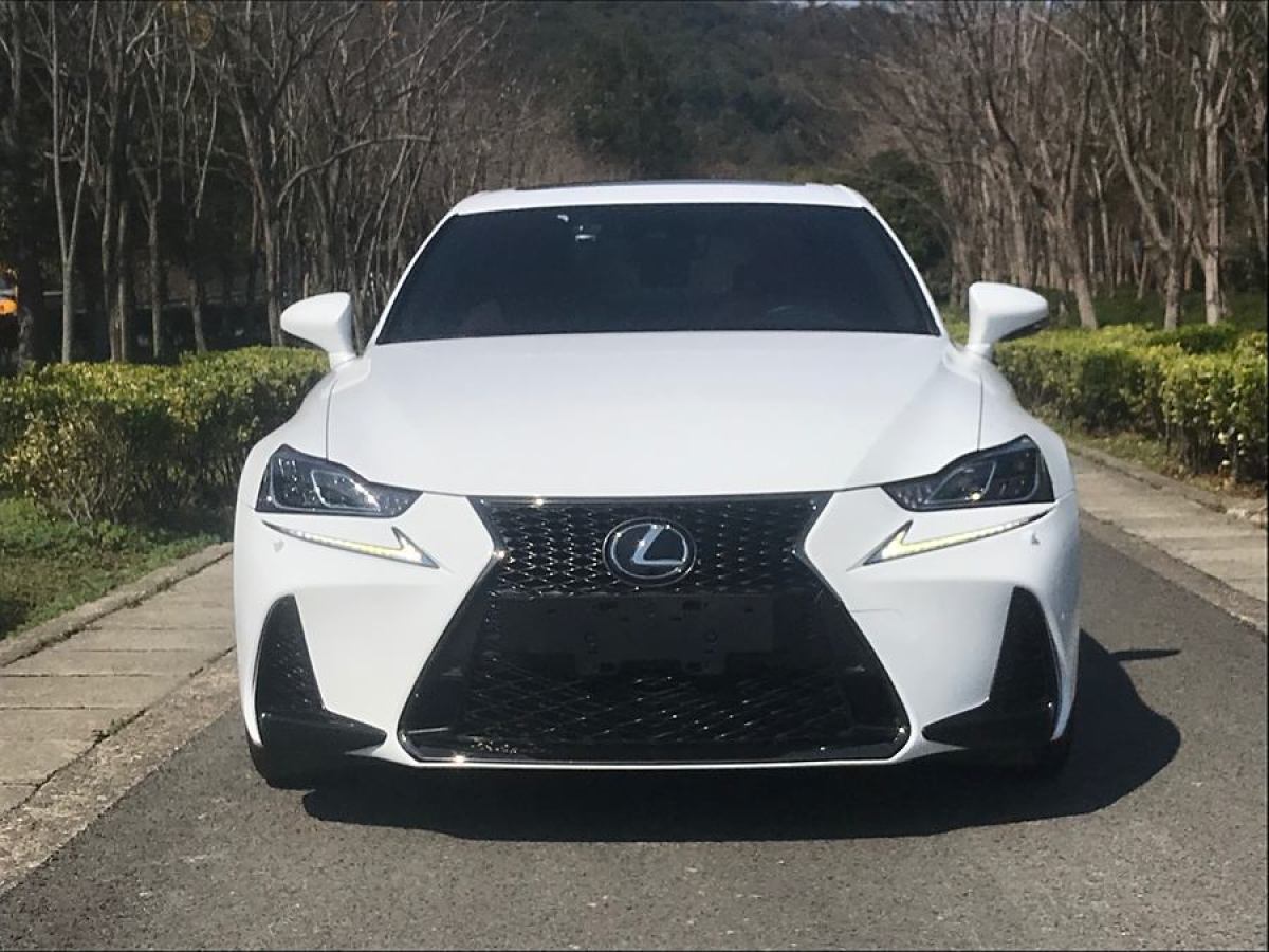 2019年5月雷克薩斯 GS  2017款 300 F SPORT