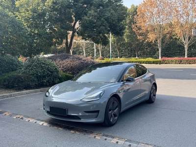 2020年12月 特斯拉 Model 3 改款 標(biāo)準(zhǔn)續(xù)航后驅(qū)升級版圖片