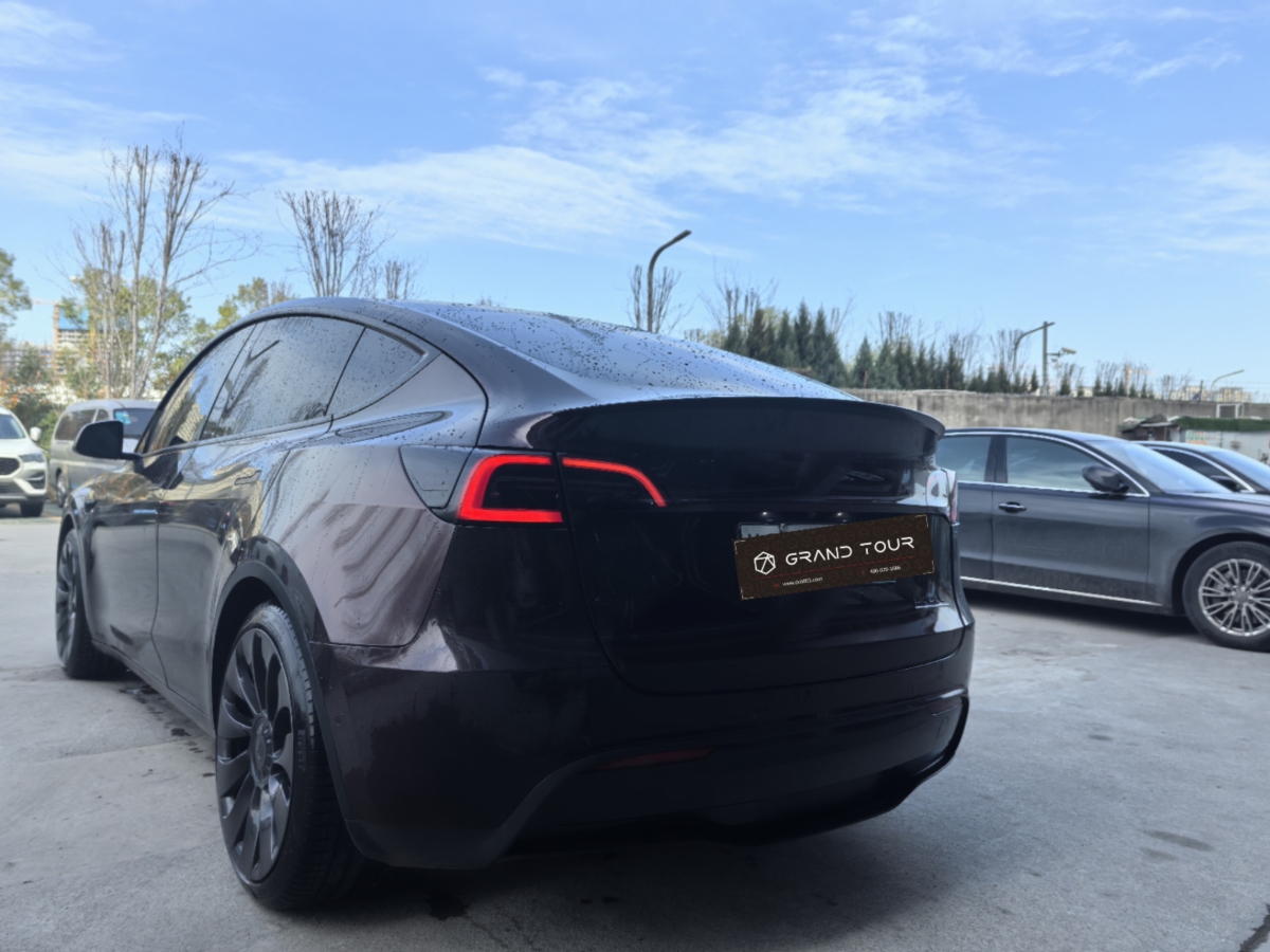 特斯拉 Model Y  2022款 Performance高性能全轮驱动版图片