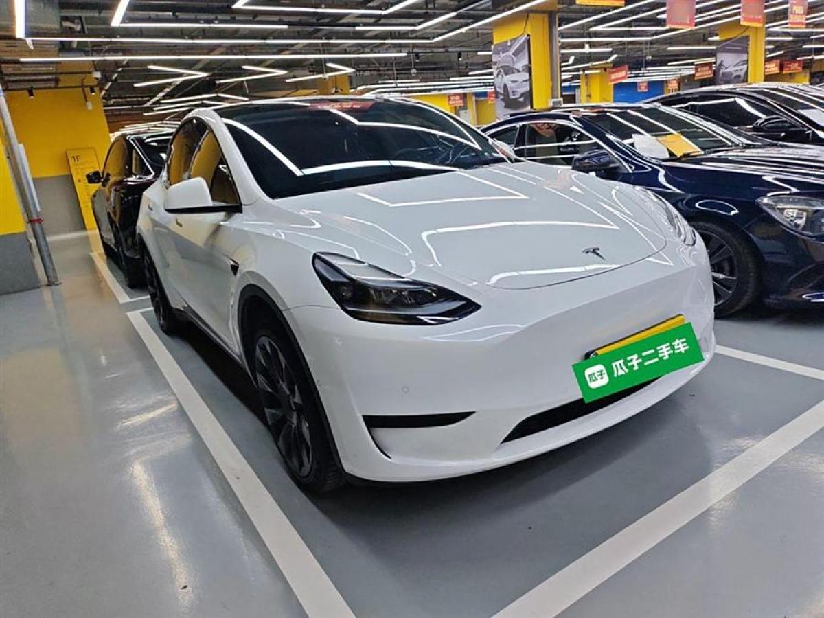 特斯拉 Model Y  2020款 改款 長續(xù)航后輪驅(qū)動版圖片