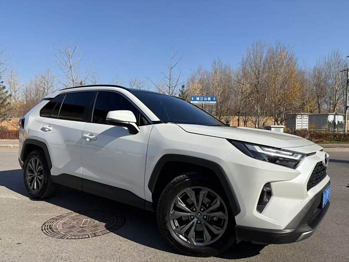 豐田 RAV4榮放  2023款 2.0L CVT兩驅(qū)20周年鉑金紀(jì)念版圖片