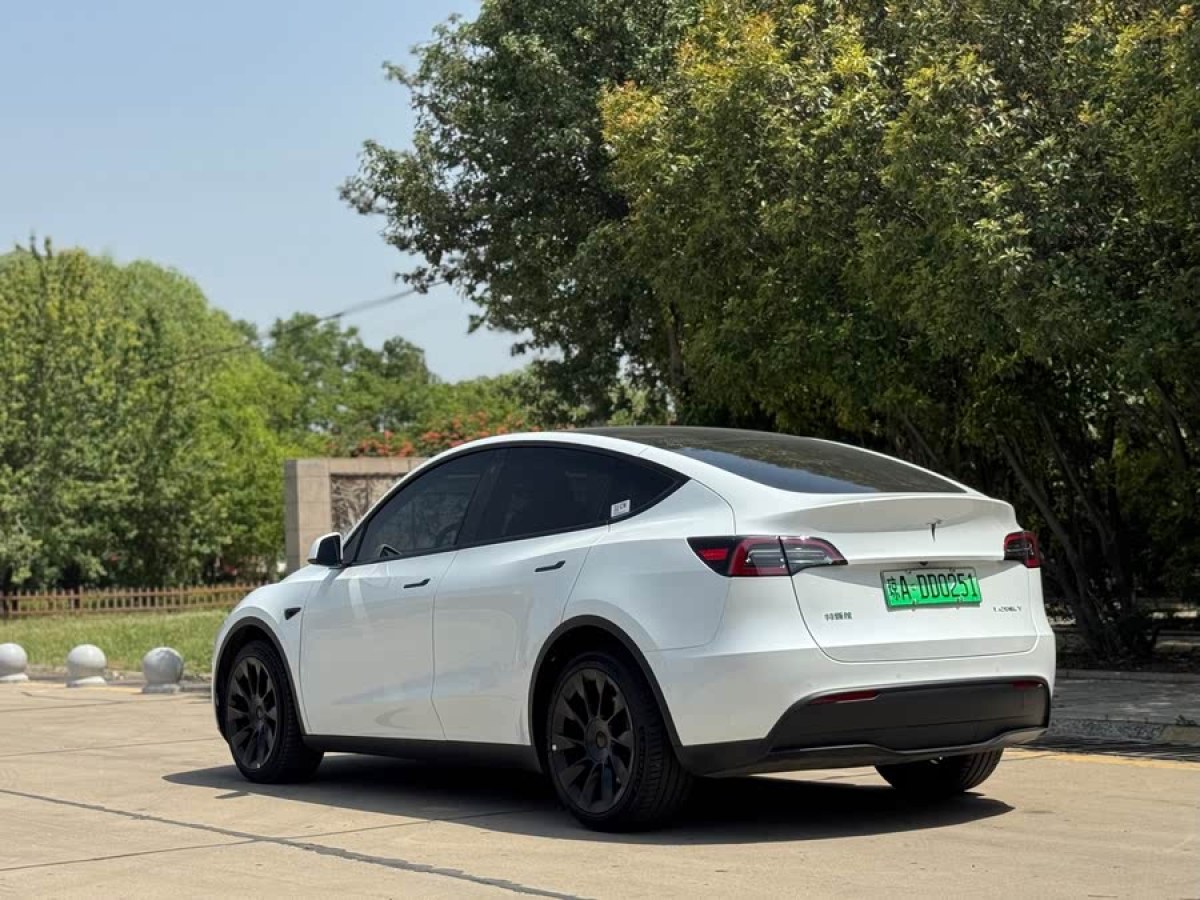 特斯拉 Model Y  2022款 改款 長(zhǎng)續(xù)航全輪驅(qū)動(dòng)版圖片