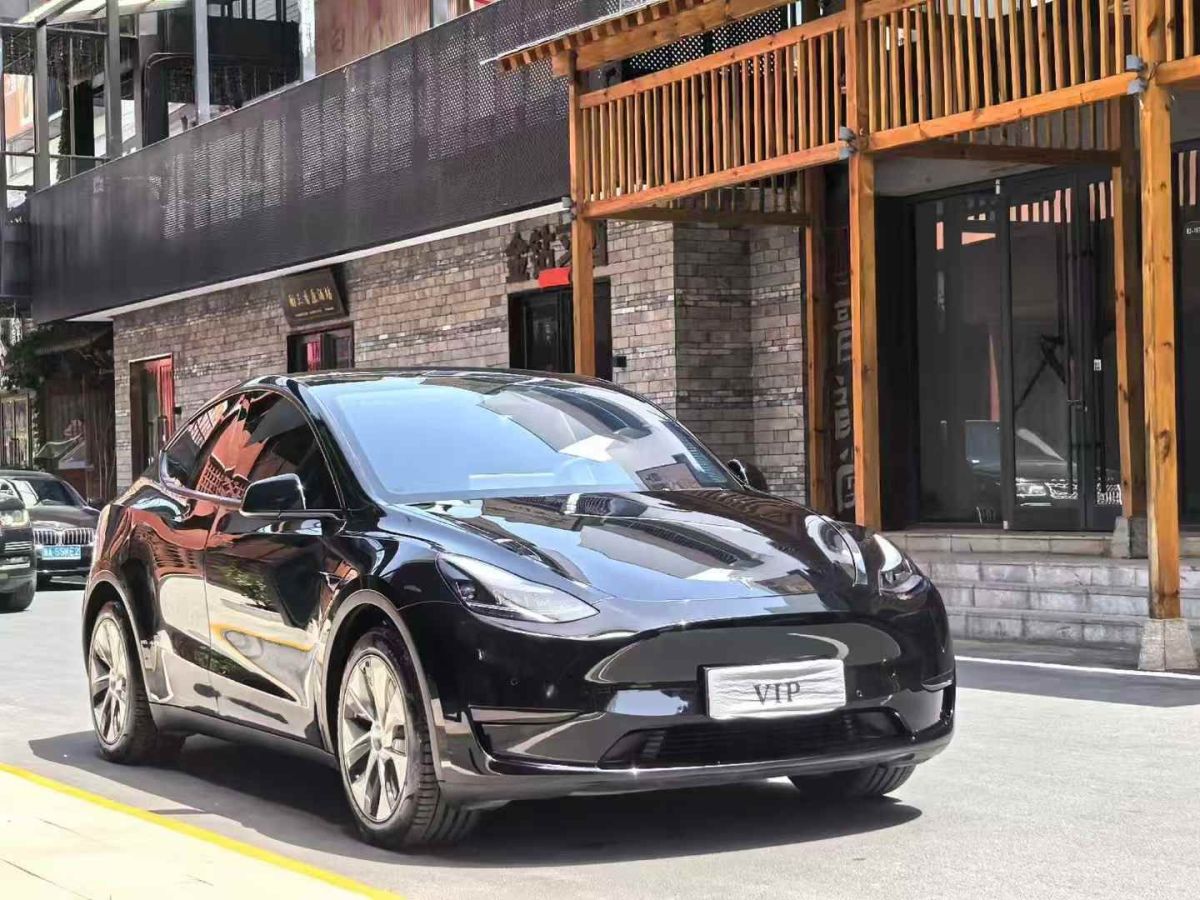 特斯拉 Model Y  2022款 Performance高性能全輪驅(qū)動(dòng)版圖片