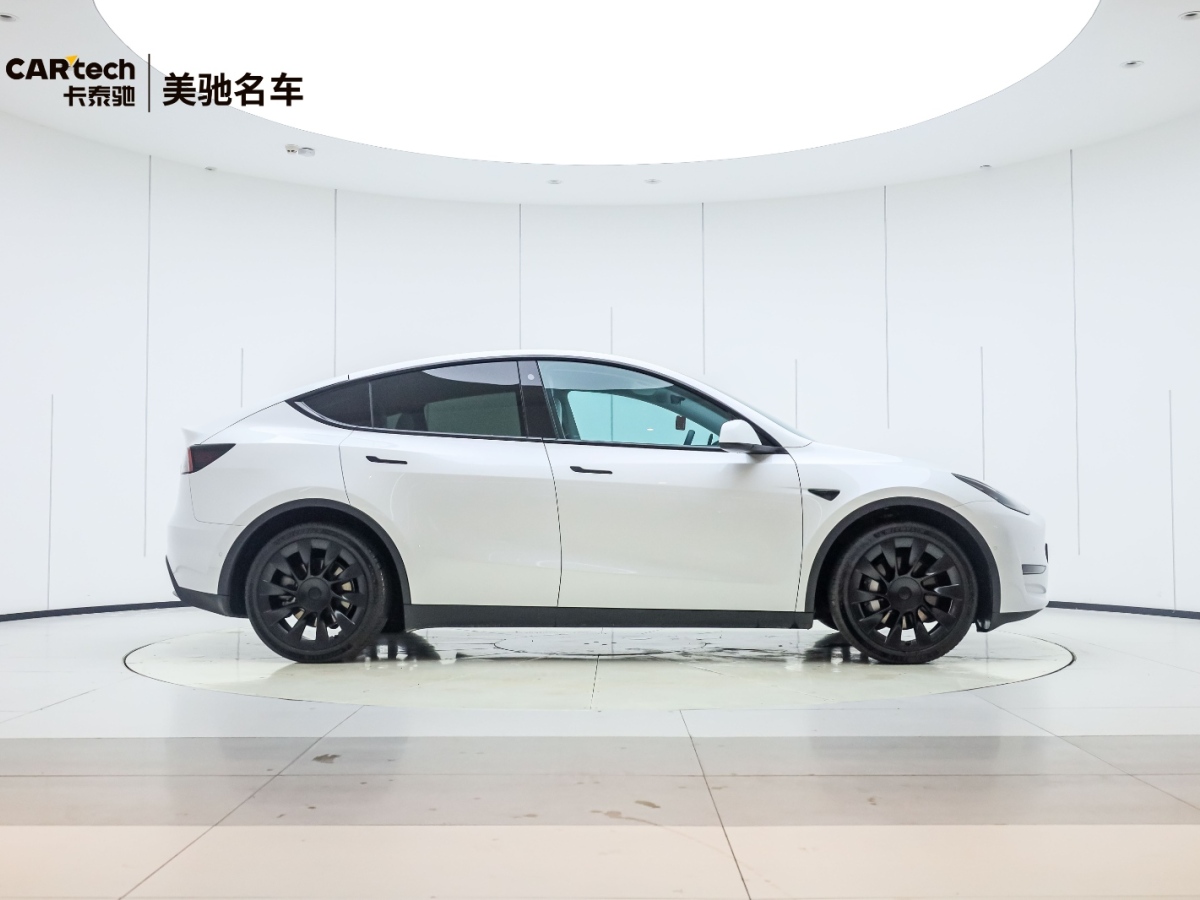 特斯拉 Model Y  2020款 Performance高性能全輪驅(qū)動(dòng)版圖片