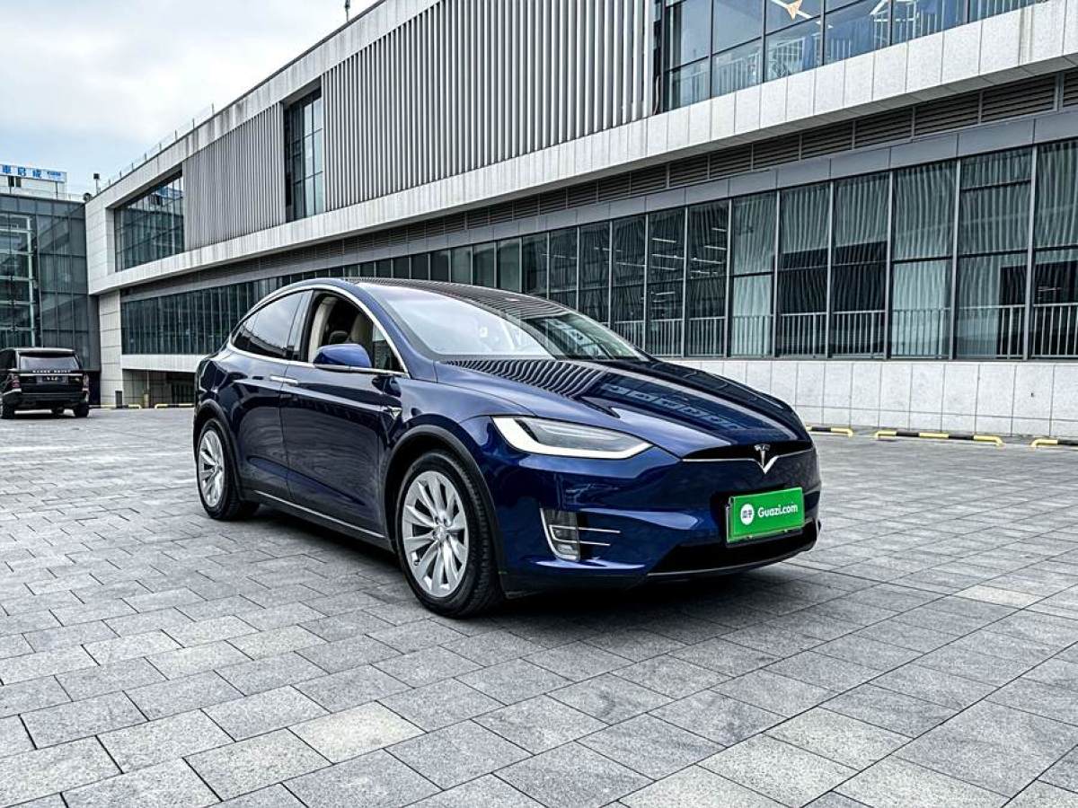 2019年4月特斯拉 Model X  2017款 Model X 100D 長續(xù)航版