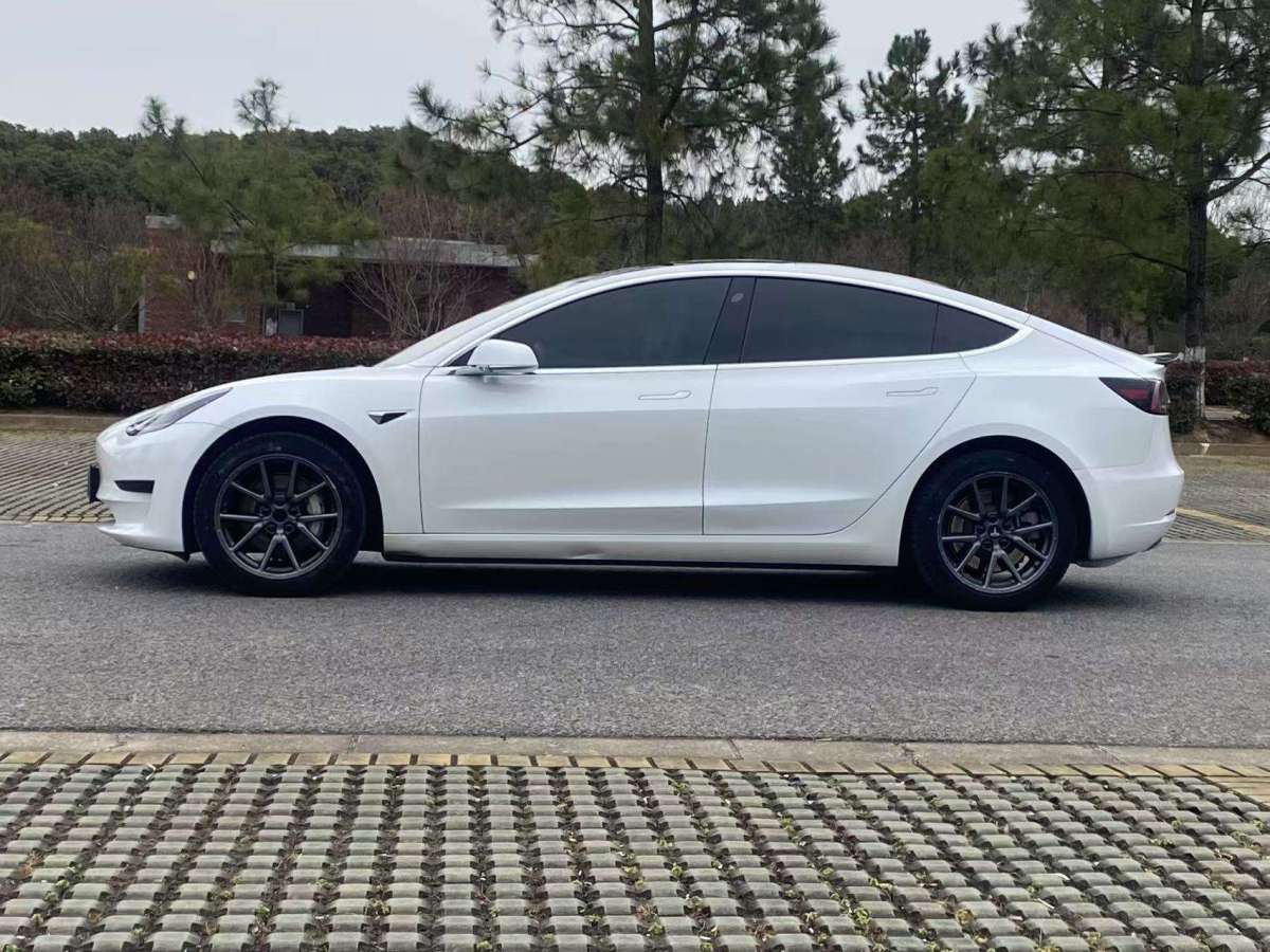 特斯拉 Model 3  2019款 標準續(xù)航后驅升級版圖片