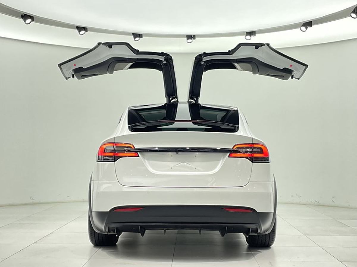 特斯拉 Model X  2019款 長(zhǎng)續(xù)航版圖片