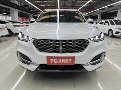 2021年5月 WEY VV6 2.0T 兩驅(qū)智護+圖片