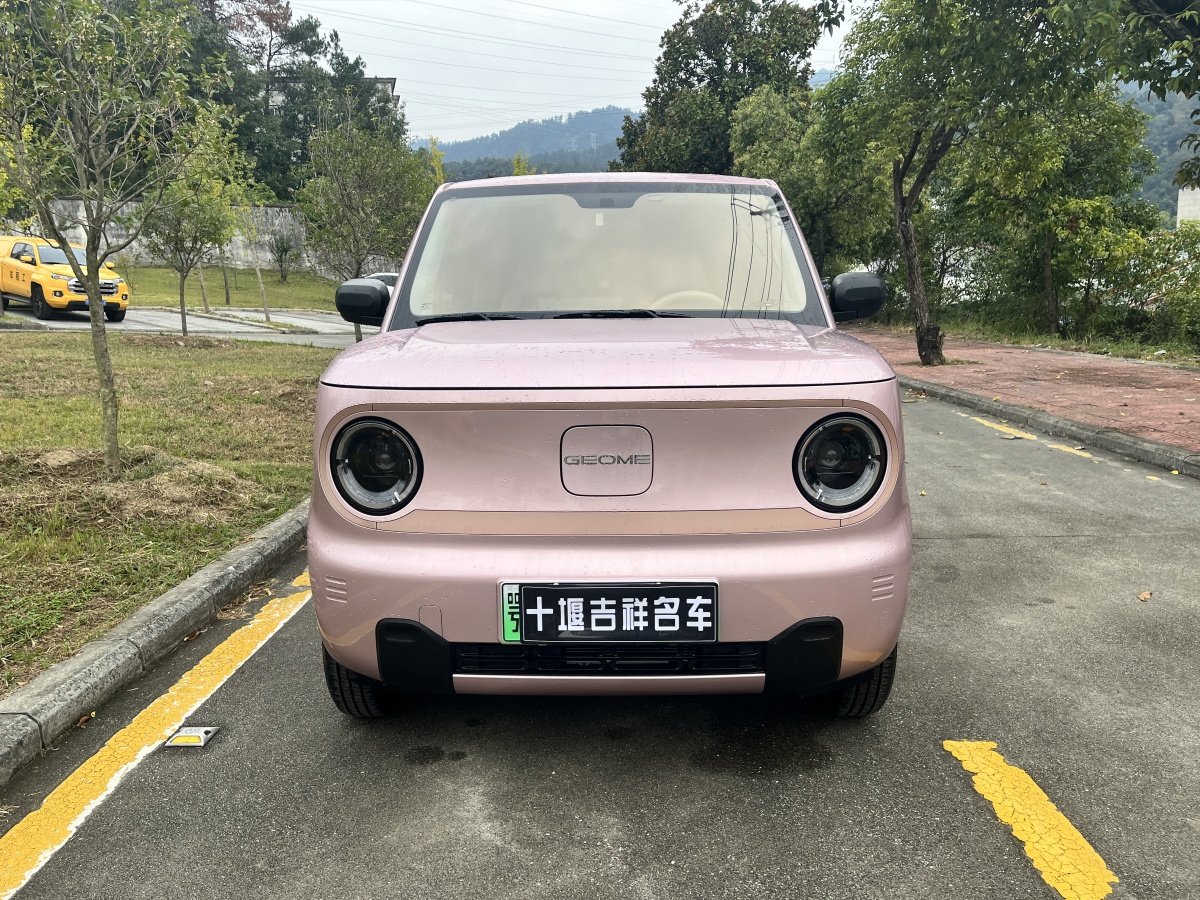 吉利 熊貓mini  2023款 200km 耐力熊圖片