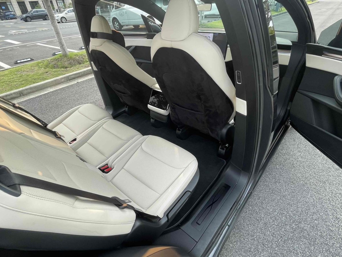 特斯拉 Model X  2023款 雙電機(jī)全輪驅(qū)動(dòng)版圖片