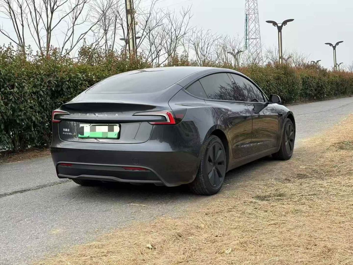 特斯拉 Model Y  2024款 Performance高性能版圖片