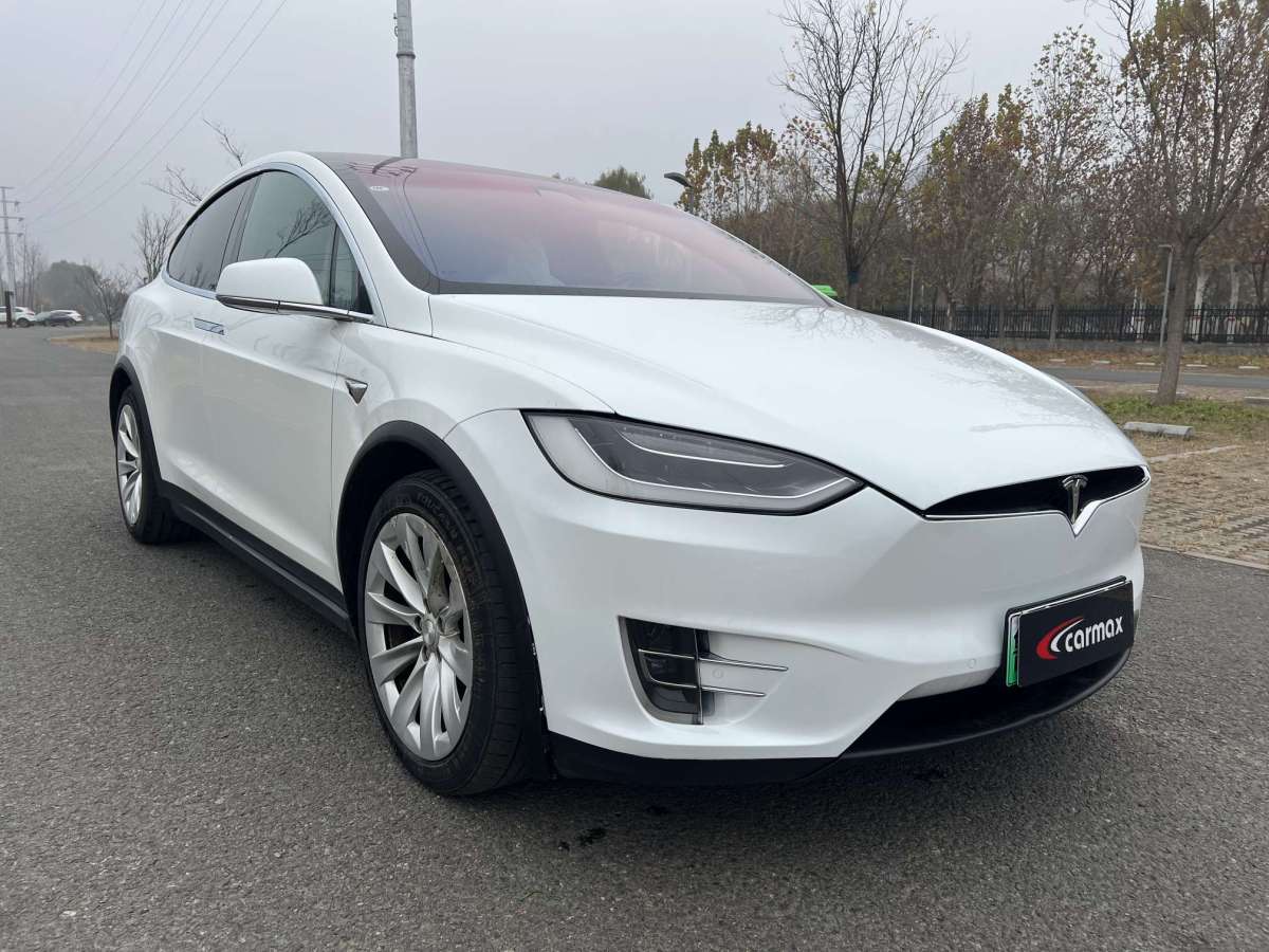 特斯拉 Model X  2017款 Model X 100D 長續(xù)航版圖片