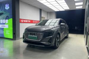 奥迪Q5 e-tron 奥迪 40 e-tron 星耀型 锦衣套装