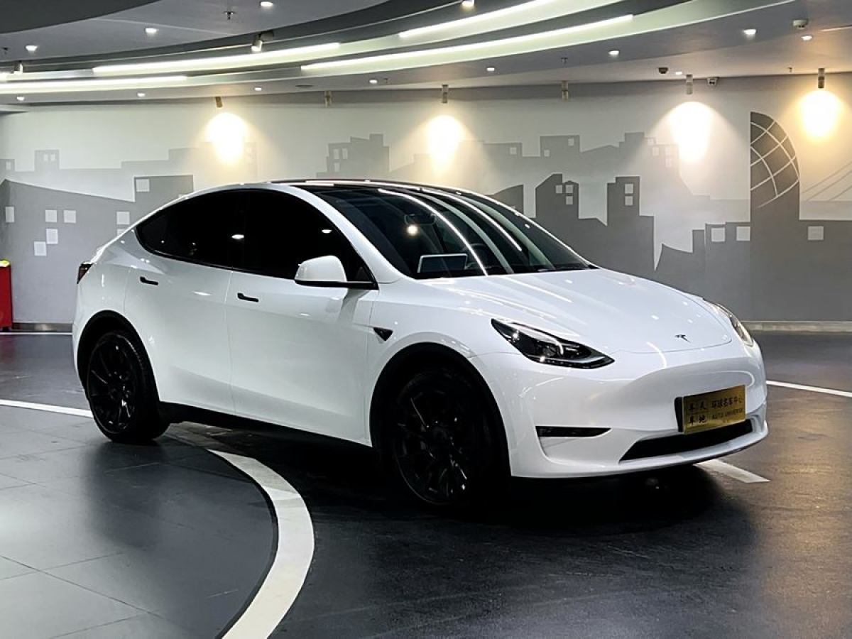 2024年8月特斯拉 Model Y  2024款 長續(xù)航全輪驅(qū)動版