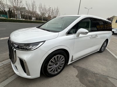 2024年1月 嵐圖 夢(mèng)想家 PHEV 超長(zhǎng)續(xù)航旗艦版圖片