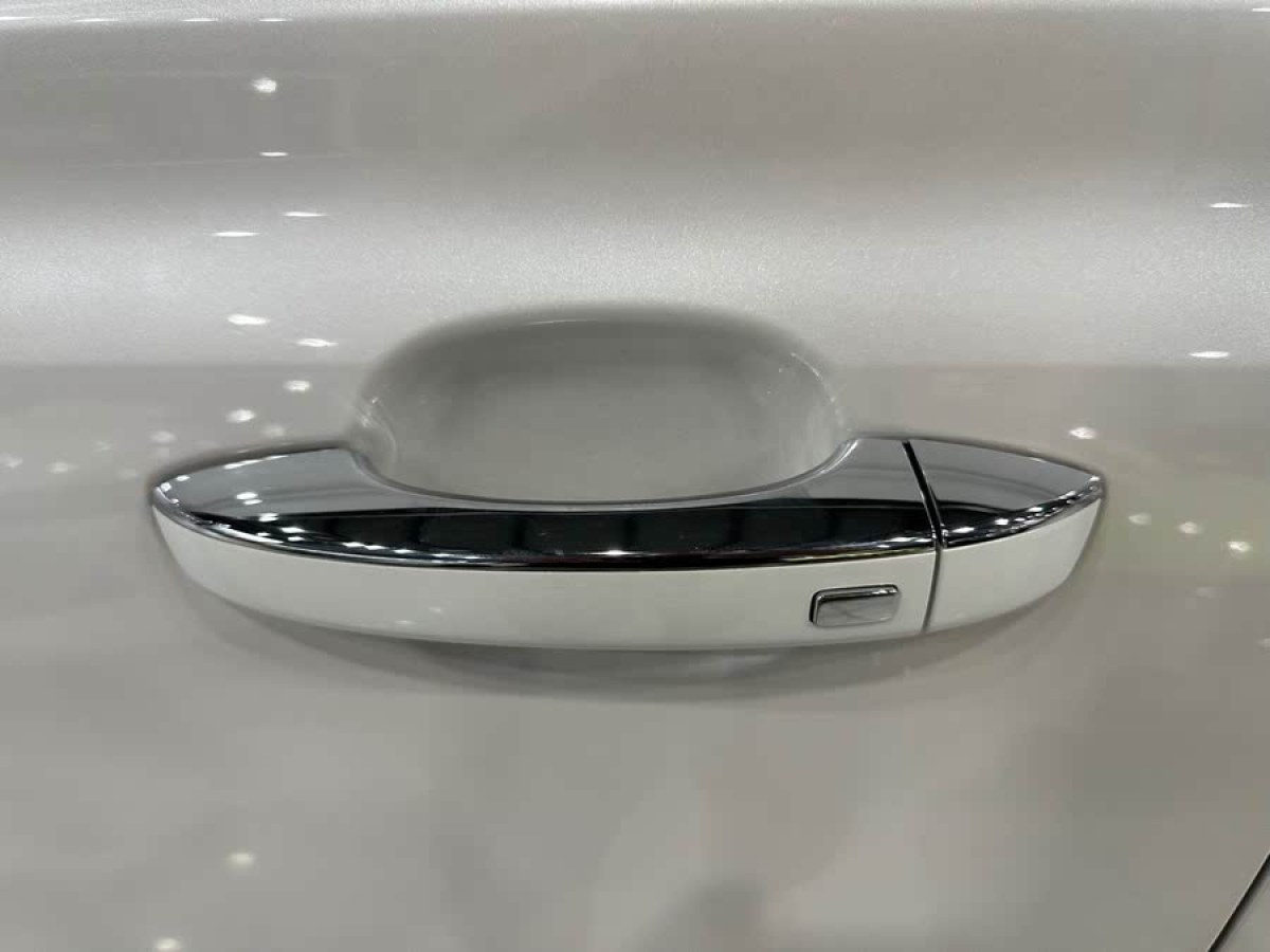 榮威 RX5 MAX  2019款 300TGI 自動4G互聯(lián)豪華版圖片