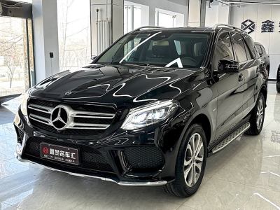 2019年1月 奔馳 奔馳GLE(進(jìn)口) GLE 320 4MATIC 動(dòng)感型臻藏版圖片