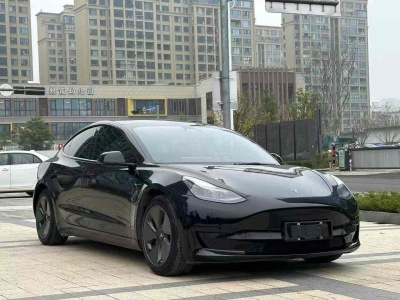 特斯拉 Model 3 標準續(xù)航后驅升級版 3D6圖片