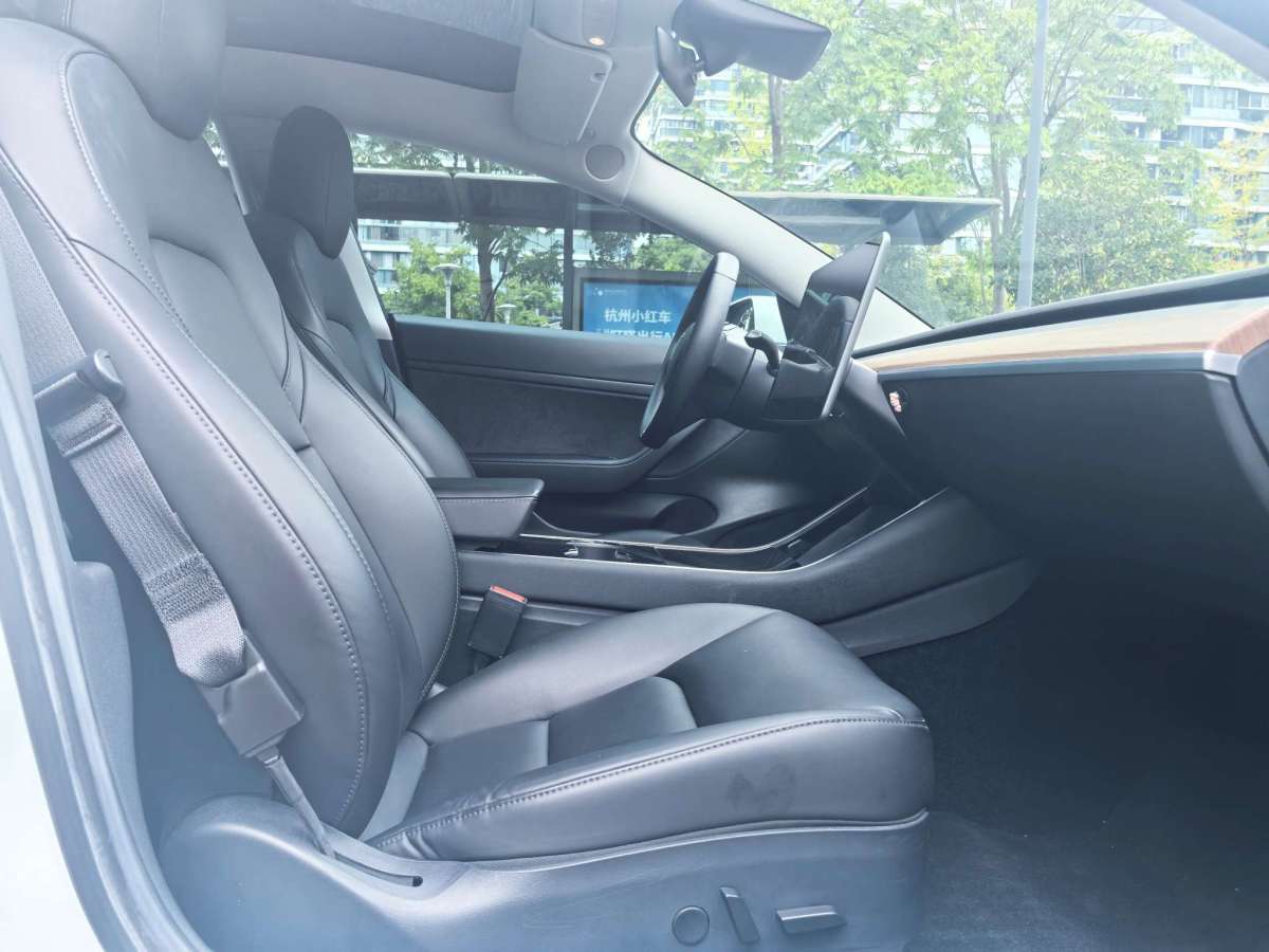 特斯拉 Model 3  2019款 長(zhǎng)續(xù)航后驅(qū)版圖片