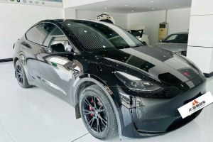 Model Y 特斯拉 Performance高性能全輪驅(qū)動版