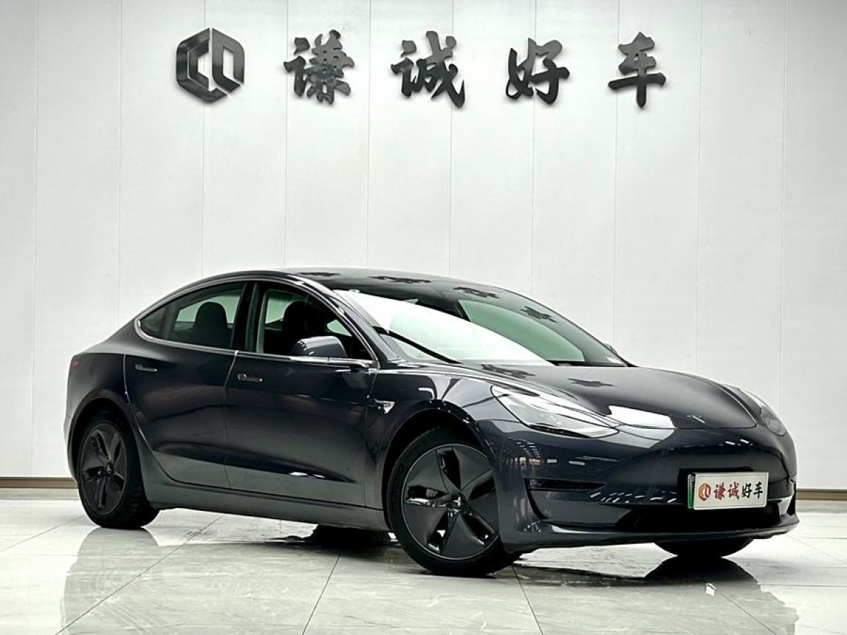 特斯拉 Model 3  2020款 改款 長續(xù)航后輪驅(qū)動(dòng)版圖片