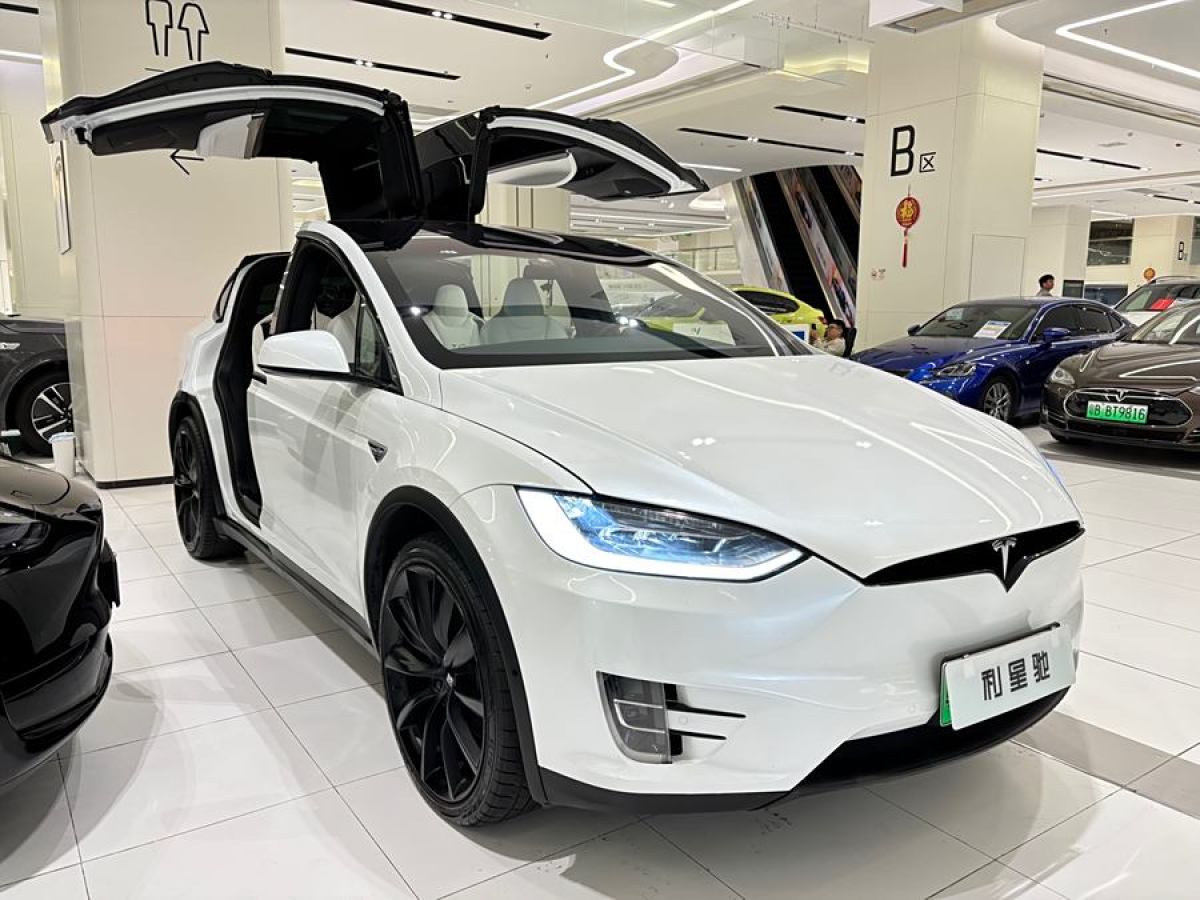 特斯拉 Model X  2016款 Model X 90D圖片