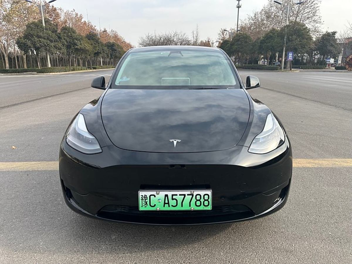 特斯拉 Model 3  2020款 改款 長續(xù)航后輪驅(qū)動版圖片