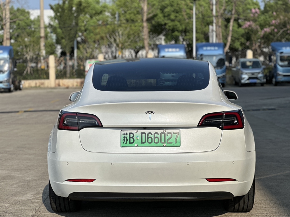 特斯拉 Model 3  2019款 标准续航后驱升级版图片