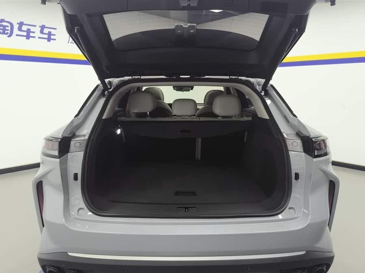 星途 瑤光C-DM  2024款 1.5T 長續(xù)航Pro圖片