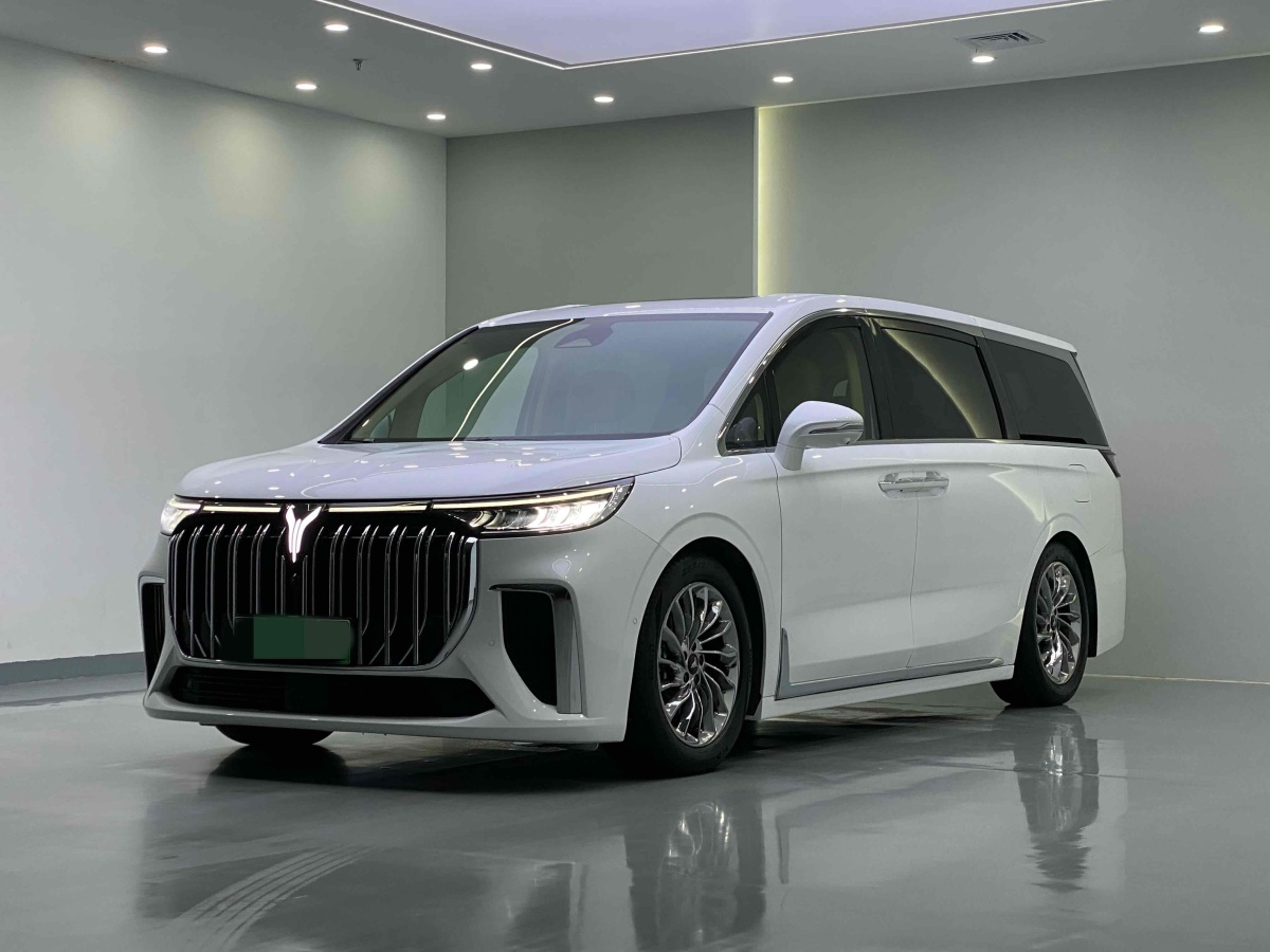 2024年6月嵐圖 夢想家  2024款 PHEV 超長續(xù)航旗艦版