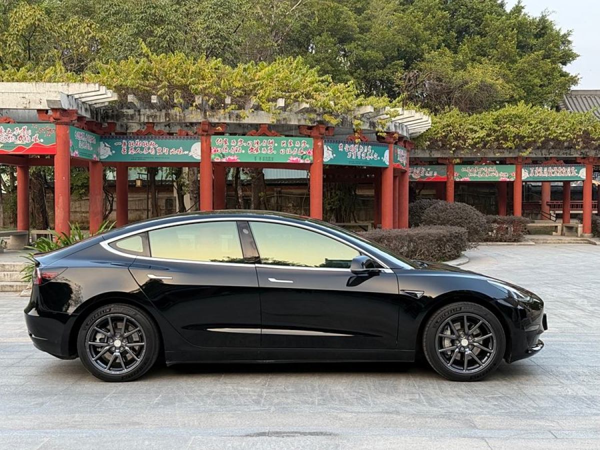 特斯拉 Model 3  2019款 長續(xù)航后驅(qū)版圖片