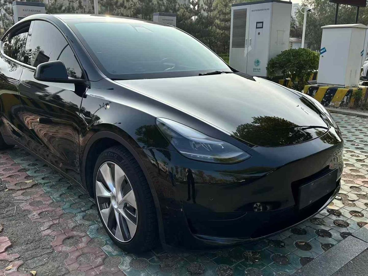 特斯拉 Model Y  2022款 Performance高性能全輪驅(qū)動(dòng)版圖片